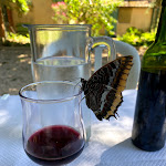 Photo n° 2 de l'avis de Christophe.g fait le 12/07/2020 à 18:28 pour Maison Bourrel à Avène