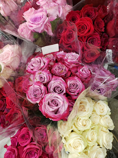 Grocery Store «Grocery Outlet Bargain Market», reviews and photos, 2801 Zinfandel Dr, Rancho Cordova, CA 95670, USA