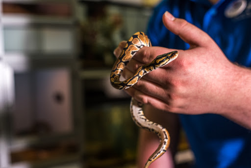 Pet Store «Pet Station Reno», reviews and photos, 5065 S McCarran Blvd, Reno, NV 89502, USA