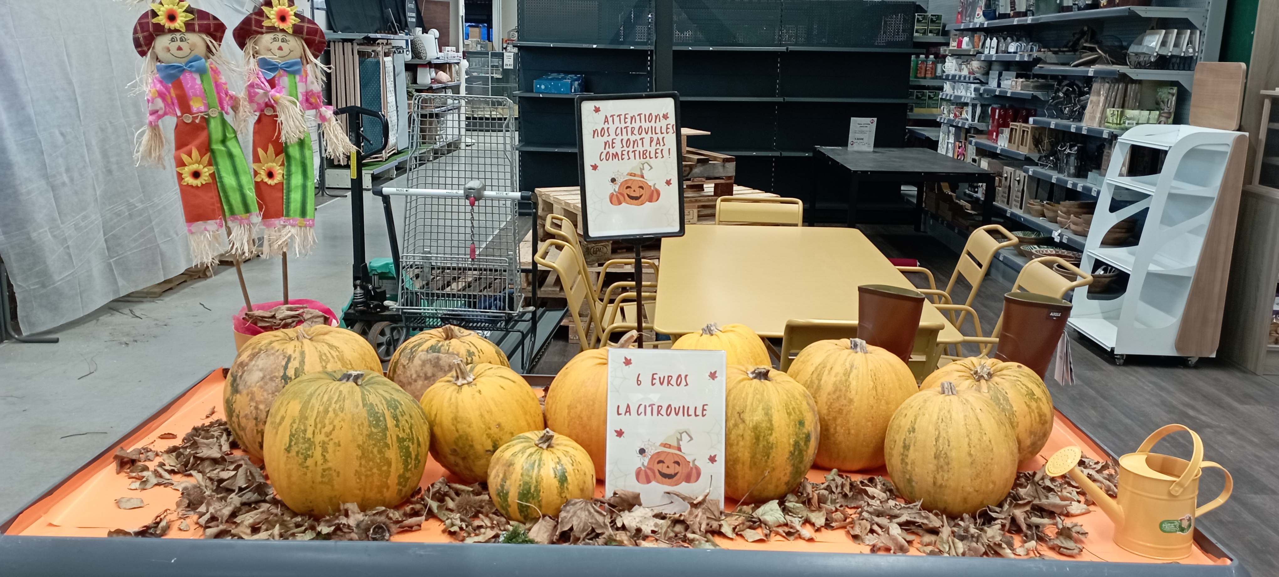 Photo n° 12 de l'avis de Geneviève.A fait le 24/10/2023 à 14:09