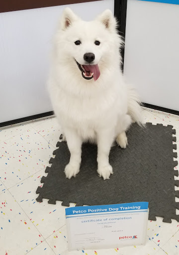 Pet Supply Store «Petco Animal Supplies», reviews and photos, 6181 Old Dobbin Ln #800, Columbia, MD 21045, USA