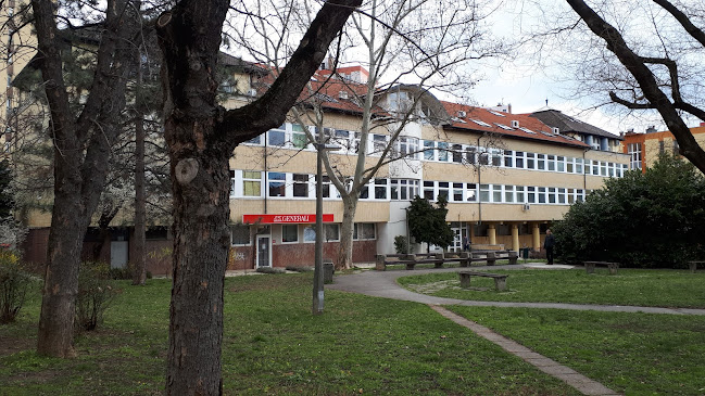 Szabadkézirajz-oktatás - Pécs