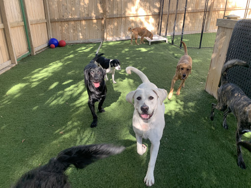 Pet Boarding Service «All About Pets», reviews and photos, 130 Arrow Rd #102, Hilton Head Island, SC 29928, USA