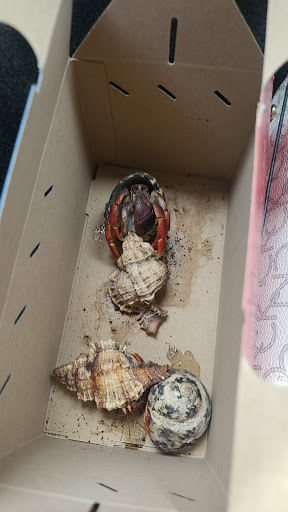 Pet Supply Store «Petco Animal Supplies», reviews and photos, 438 Southbridge St, Auburn, MA 01501, USA