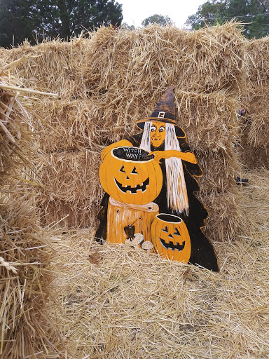 Bowling Alley «Di Donato Bowling Center», reviews and photos, 1151 S White Horse Pike, Hammonton, NJ 08037, USA