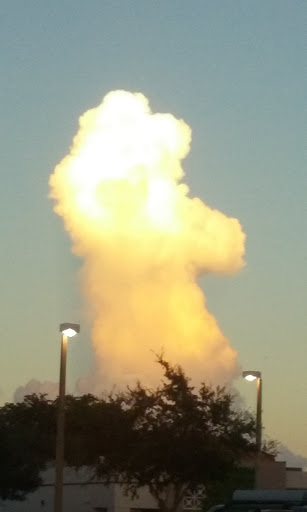 Supermarket «Walmart Neighborhood Market», reviews and photos, 10635 W Atlantic Blvd, Coral Springs, FL 33071, USA