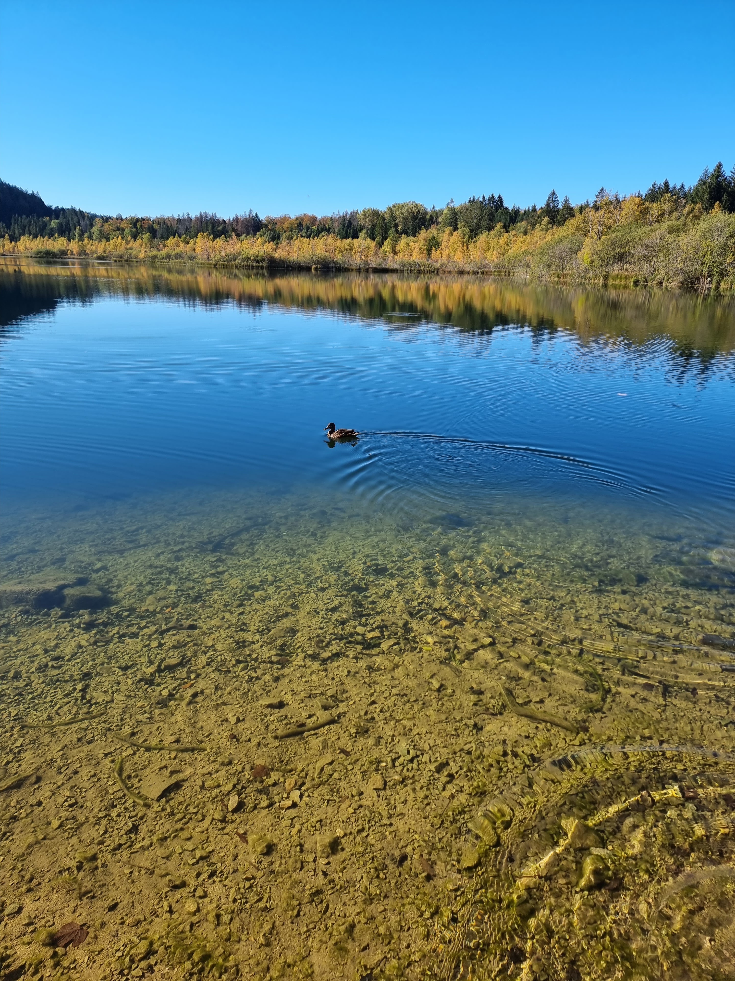 Photo n° 10 de l'avis de Viktória.i fait le 16/10/2021 à 14:46