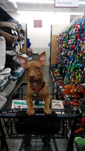 Pet Supply Store «Pet Supplies Plus», reviews and photos, 1031 Northwest Hwy, Garland, TX 75041, USA