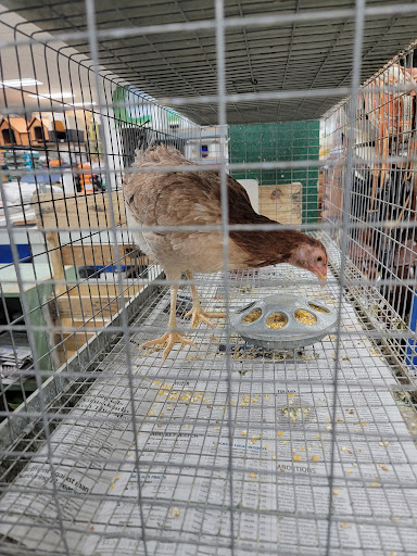 Garicas Feed & Pet, 3143 Niles St, Bakersfield, CA 93306, USA, 