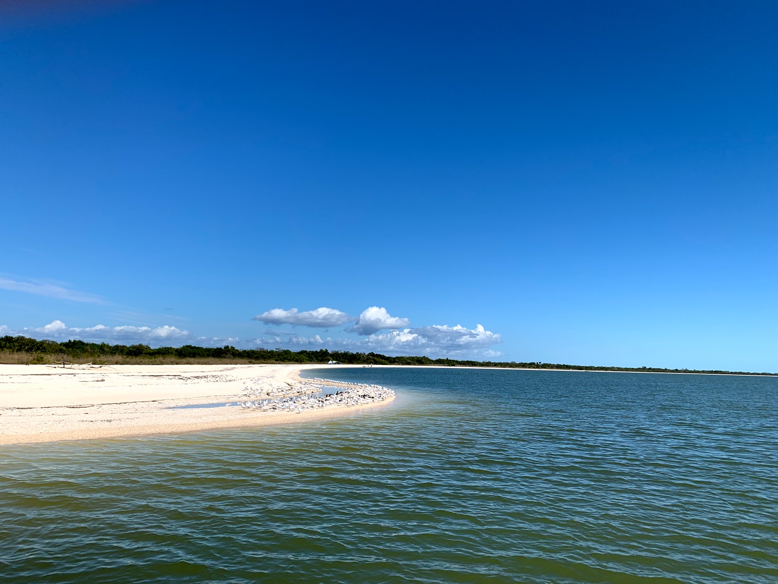 Photo de Middle Cape beach avec sable clair avec caillou de surface