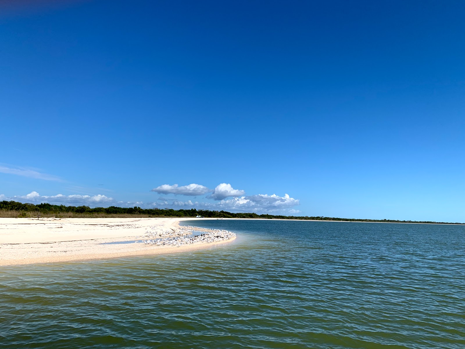 Foto de Middle Cape beach com areia bege e seixos superfície