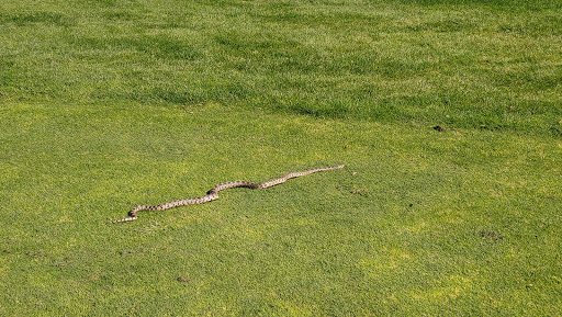 Golf Club «Ridgecrest Golf Club», reviews and photos, 3730 Ridgecrest Dr, Nampa, ID 83687, USA