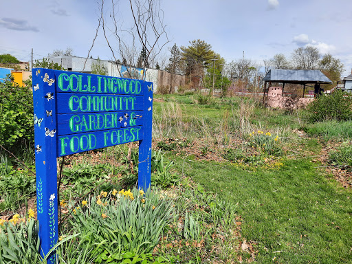 Collingwood Community Garden image 2