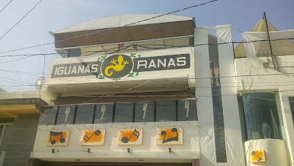 IGUANAS RANAS