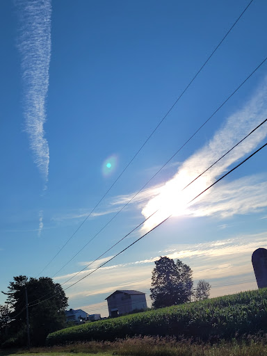 Thrift Store «Goodwill Store & Donation Center», reviews and photos