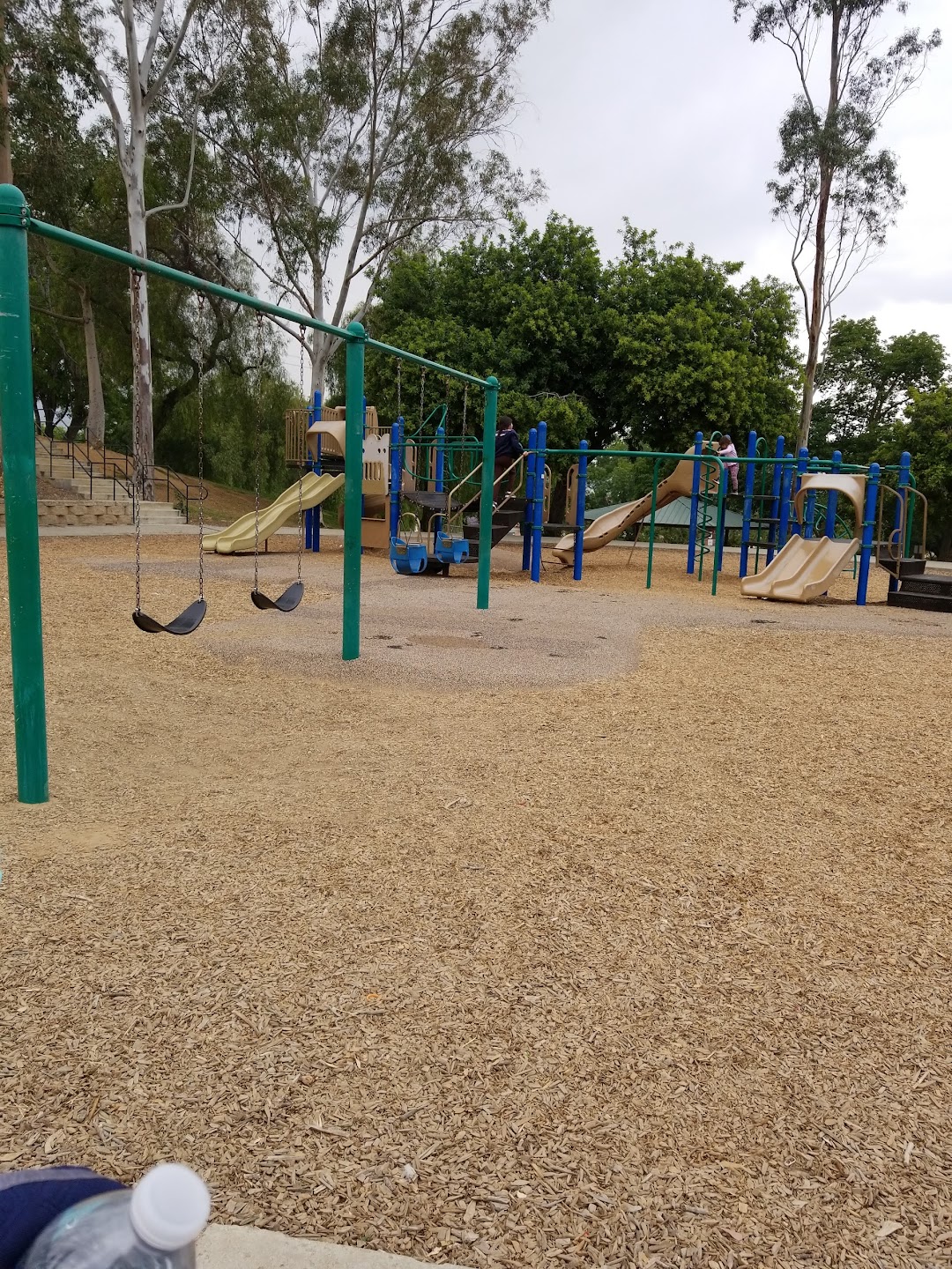 Martin Tudor Jurupa Hills Regional Park in the city Fontana