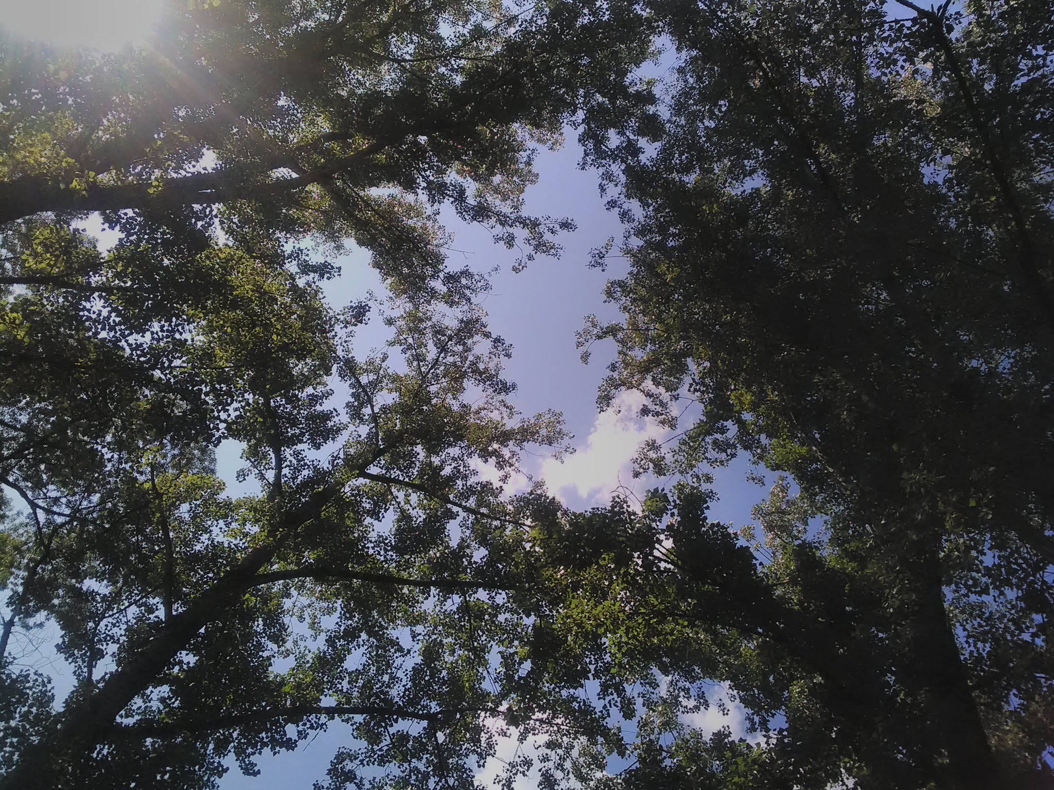 Photo n° 2 de l'avis de jedalo.o fait le 05/09/2019 à 10:54