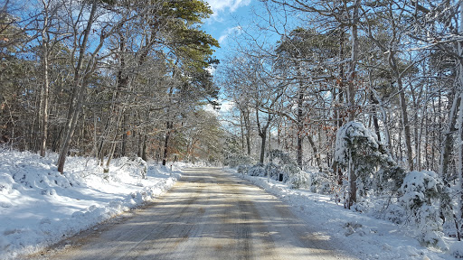 Golf Club «Mink Meadows Golf Club», reviews and photos, 320 Golf Club Rd, Vineyard Haven, MA 02568, USA