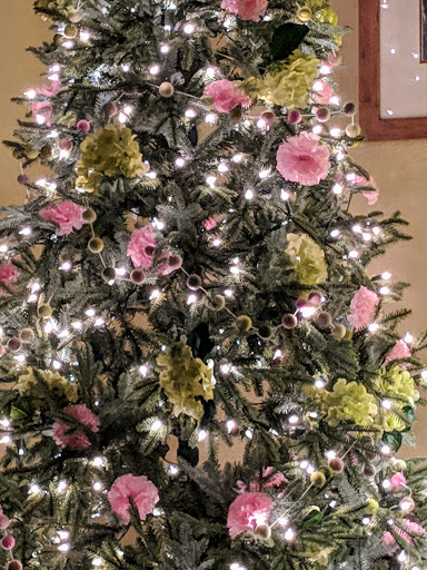 Resort «Great Wolf Lodge Concord», reviews and photos, 10175 Weddington Road, Concord, NC 28027, USA