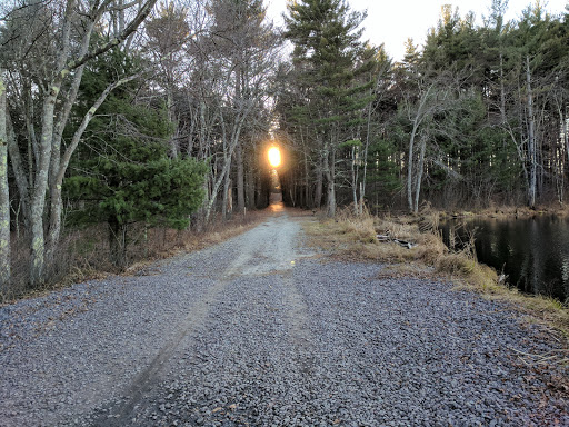 State Park «Lowell-Dracut-Tyngsborough State Forest», reviews and photos, Trotting Park Rd, Dracut, MA 01826, USA
