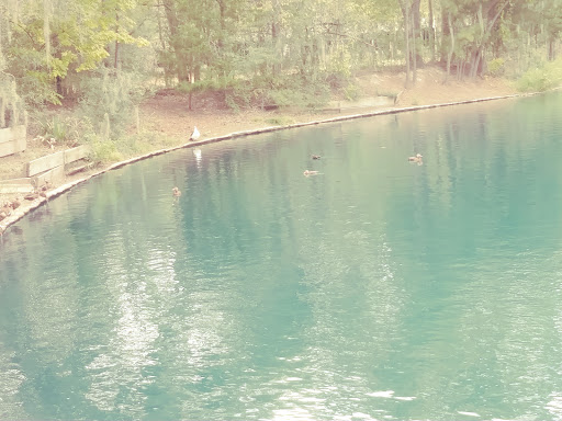 Park «Terry Hershey Park», reviews and photos, 15200 Memorial Dr, Houston, TX 77079, USA