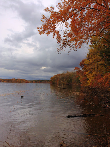 Golf Course «Pine Ridge Golf Course», reviews and photos, 2101 Dulaney Valley Road, Lutherville, MD 21093, USA