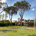 Photo n°13 de l'avis de Luna.a fait le 18/05/2022 à 09:00 sur le  Ristorante Pizzeria La Rosa Scarlatta à Ardea