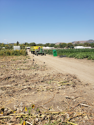 Produce Market «Underwood Family Farms», reviews and photos, 3370 Sunset Valley Rd, Moorpark, CA 93021, USA