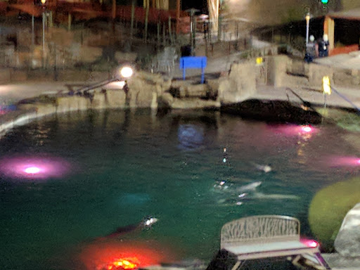 Tourist Attraction «Dolphinaris Arizona», reviews and photos, 9500 East Vía de Ventura, Scottsdale, AZ 85256, USA