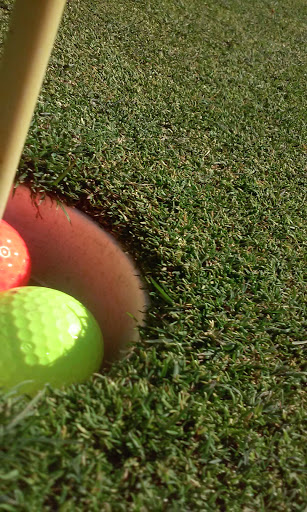 Golf Course «Cedar Bend Golf Course», reviews and photos, 34391 Cedar Valley Dr, Gold Beach, OR 97444, USA