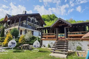 Guest House Bucovina image
