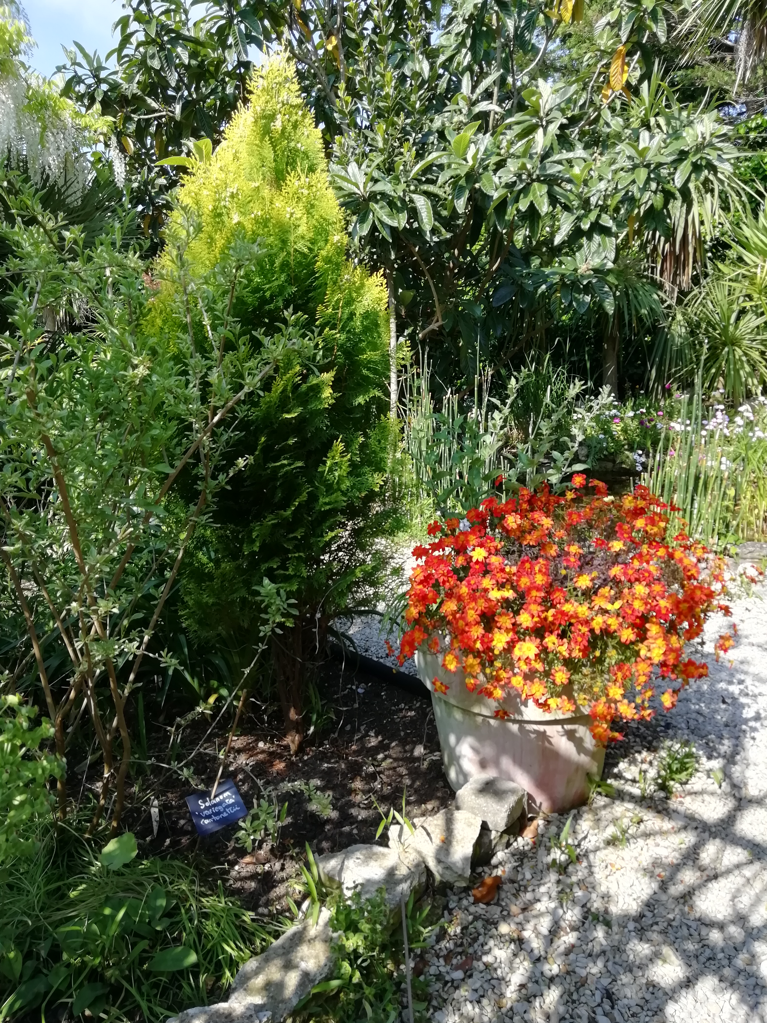 Photo n° 1 de l'avis de Amandine.� fait le 02/05/2019 à 09:05