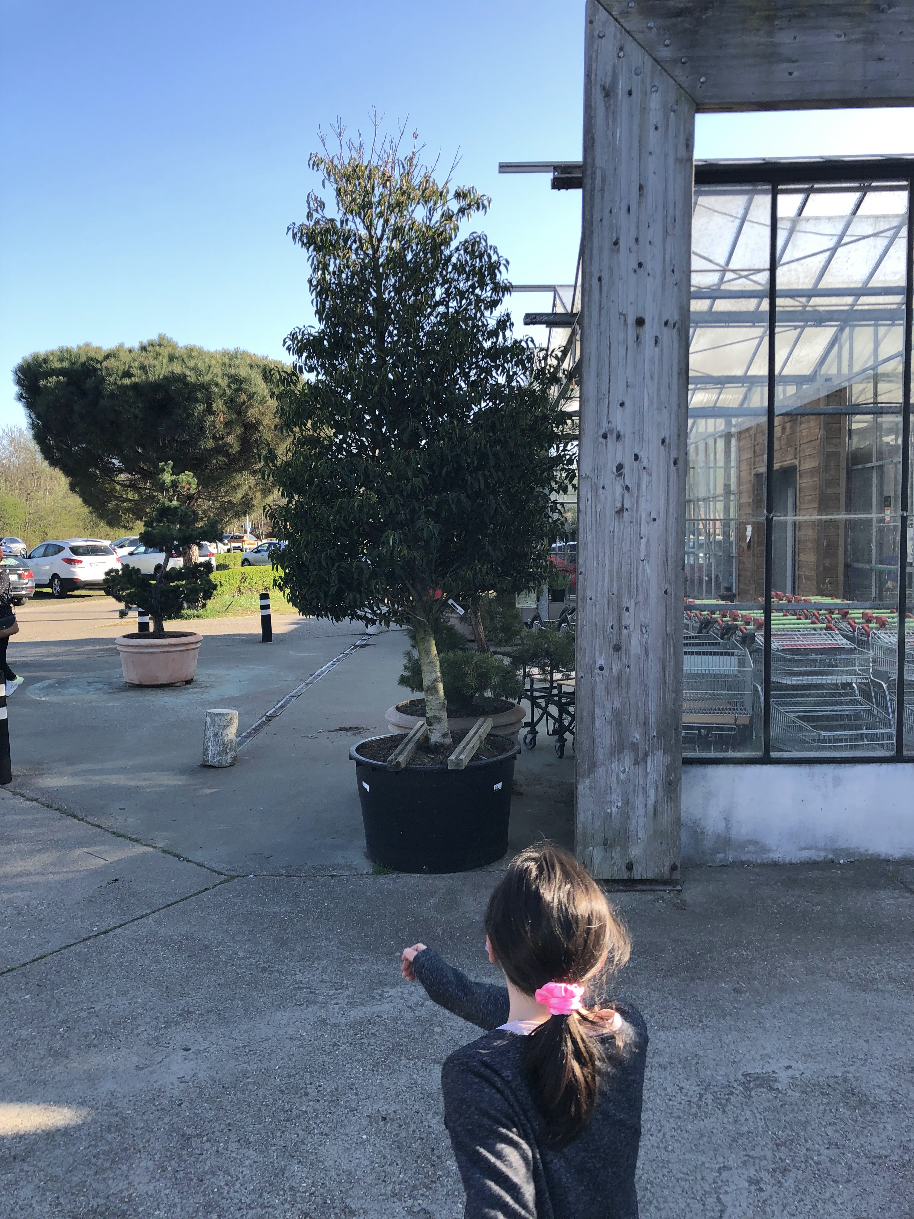 Photo n° 9 de l'avis de Francis.i fait le 16/04/2022 à 17:21