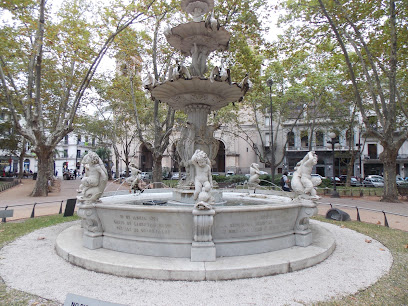 Fuente De La Plaza Matriz