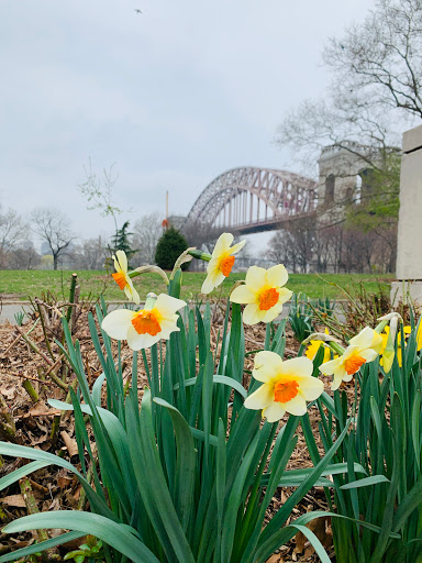 Park «Astoria Park», reviews and photos, 19 19th St, Queens, NY 11105, USA