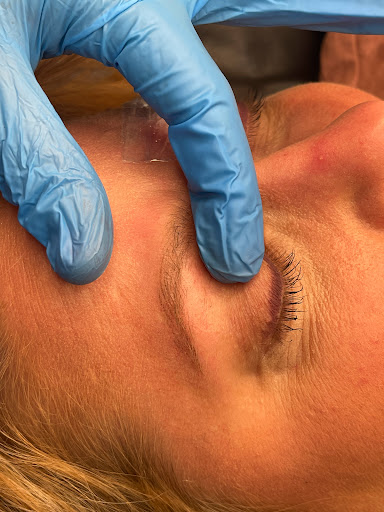 Find pubic tattoo ideas for your next unique tattoo in Peoria Heights at BeautiFULL Brows By Jen Microblading - Permanent Makeup Wild Honey Beauty Studio