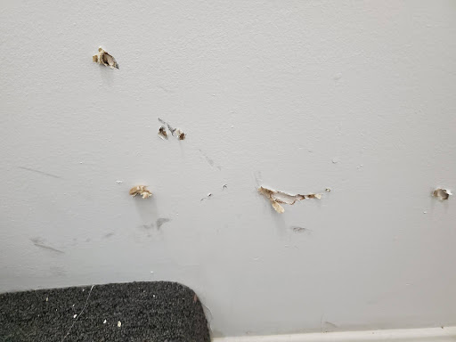 Moving Company «Liberty Bell Moving & Storage», reviews and photos, 422 1 Fore St 2 Suite #1, Portland, ME 04101, USA