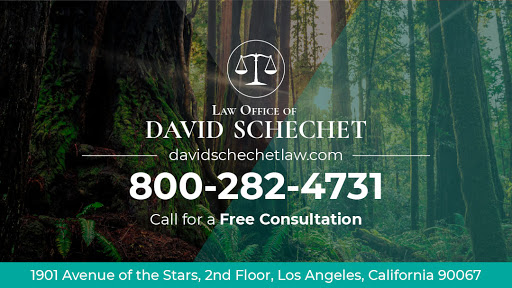 Law Office of David Schechet
