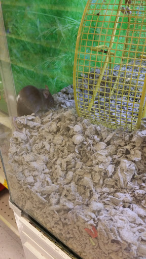 Pet Supply Store «PetSmart», reviews and photos, 6650 N Durango Dr, Las Vegas, NV 89149, USA