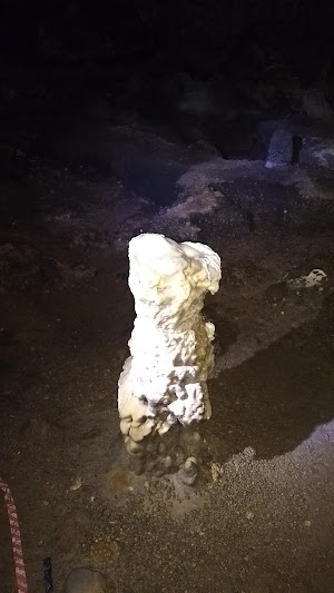 Slaughter Canyon Cave - photo 38