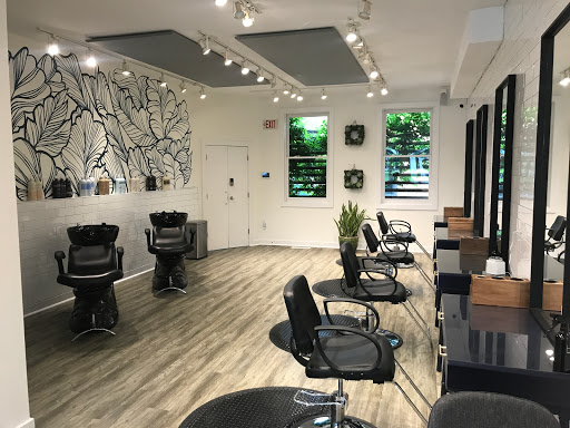 Delaware Blu Salon and Spa