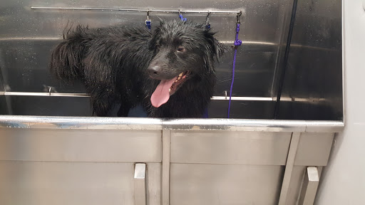 Pet Supply Store «Brookside Barkery & Bath», reviews and photos, 118 W 63rd St, Kansas City, MO 64113, USA