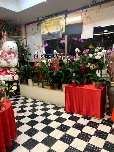 Florist «Cute Flowers & Gifts», reviews and photos, 3294 El Camino Real, Santa Clara, CA 95051, USA