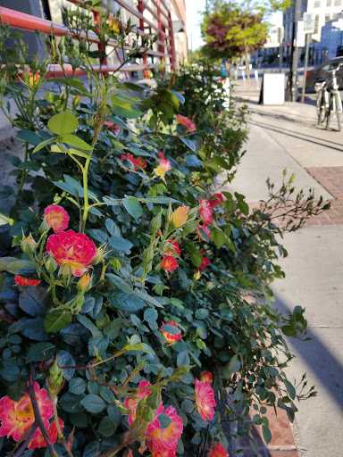 Grocery Store «Jade Market Rio Grande», reviews and photos, 353 W 200 S, Salt Lake City, UT 84101, USA