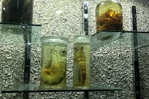 Alexandria Aquarium image