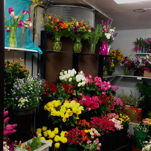 Florist «Bel Aire Flower Shop», reviews and photos, 11222 W Greenfield Ave, West Allis, WI 53214, USA