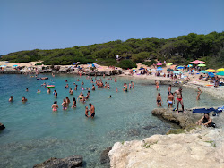 Foto von Spiaggia di Porto Selvaggio mit kleine bucht