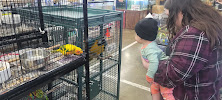Premium Pet Store - Photo 3 - Car repair in Pomona, CA, Ontario