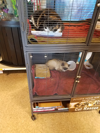 Pet Supply Store «PetSmart», reviews and photos, 220 Commerce Blvd, Fairless Hills, PA 19030, USA
