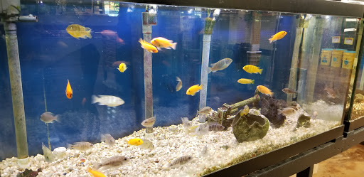 Tropical Fish Store «Two Turtles Pet Center», reviews and photos, 760 W Market St, Akron, OH 44303, USA